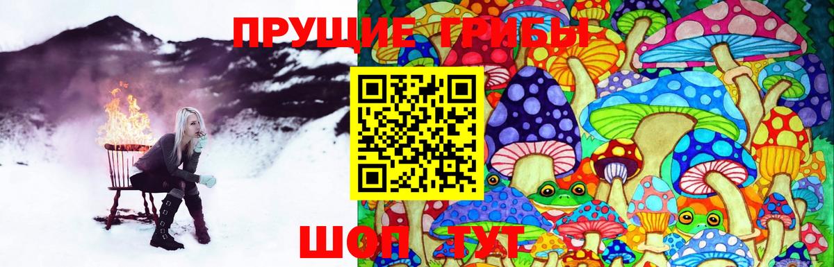 Галлюциногенные грибы ЛСД  Вход с VPN  Псилоцибиновые грибы мицелий  Елец 